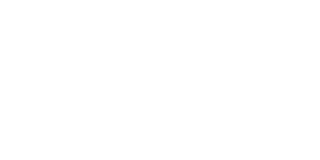 w_NIPtech_logo 1